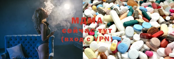 мдпв Вяземский