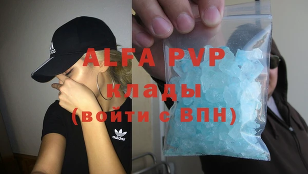 мдпв Вяземский