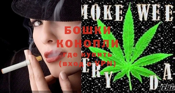 мдпв Вяземский