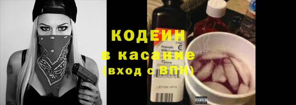 мдпв Вяземский