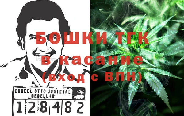 мдпв Вяземский