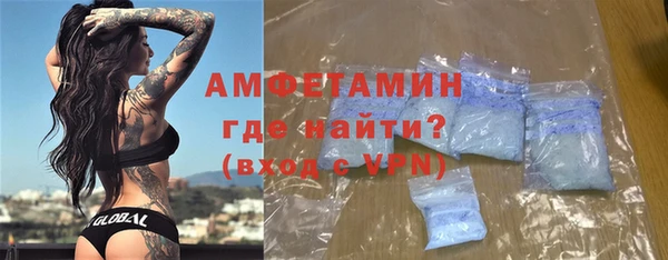 мдпв Вяземский