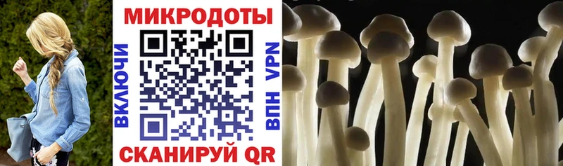 Псилоцибиновые грибы ЛСД Кувшиново