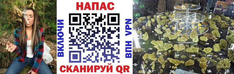 Купить закладки  Кувшиново  Бошки Шишки OG Kush 
